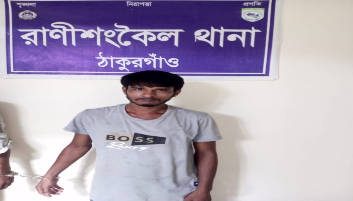 রাণীশংকৈলে ওসি আমানের নেতৃত্বে অভিযানে, ১৫ পিস ইয়াবাসহ কুক্ষাত মাদক ব্যবসায়ী আলাল গ্রেফতার