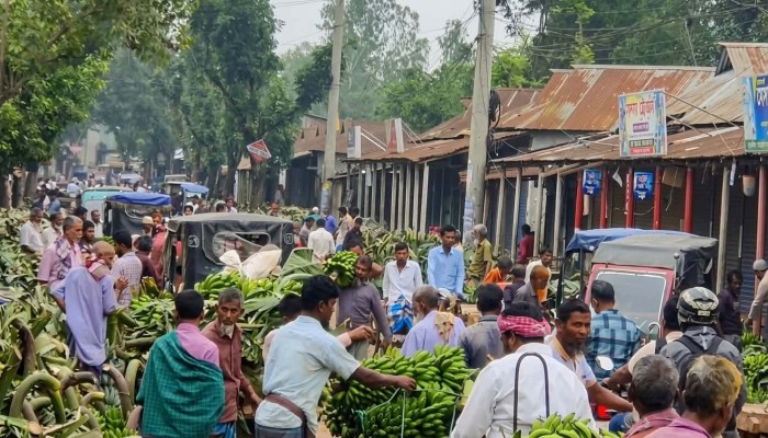 ঘাটাইলে সড়ক দখল করে বসছে হাট-বাজার
