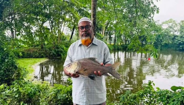 চরামদ্দিতে পেনশনের টাকায় গড়া স্বপ্নে আঘাতঃ বিষ প্রয়োগে তিন পুকুরের মাছ নিধন
