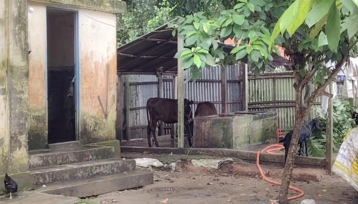 তিতাস গ্যাসের অধিগ্রহণকৃত জমি দখল ও স্থাপনা নির্মাণের অভিযোগ, ঝুঁকিতে গ্যাসলাইন রক্ষণাবেক্ষণ