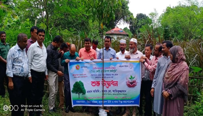 পঞ্চগড় চিনিকলে বিএসএফআইসি জিয়া পরিষদের বৃক্ষরোপণ কর্মসূচি
