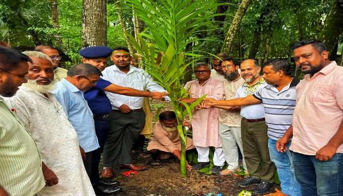 কাউখালীতে শিক্ষা প্রতিষ্ঠানে ইজিএস শিক্ষা নিকেতন প্রাঙ্গণে ইউএনও’র সুপারি গাছের চারা রোপণ