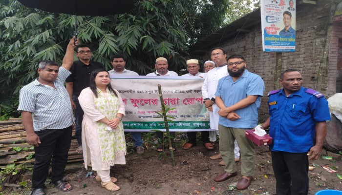 বকুলতলায় বকুল, তালতলায়  তাল-ফিরছে গ্রামীণ ঐতিহ্য রাহাদ সুমন,