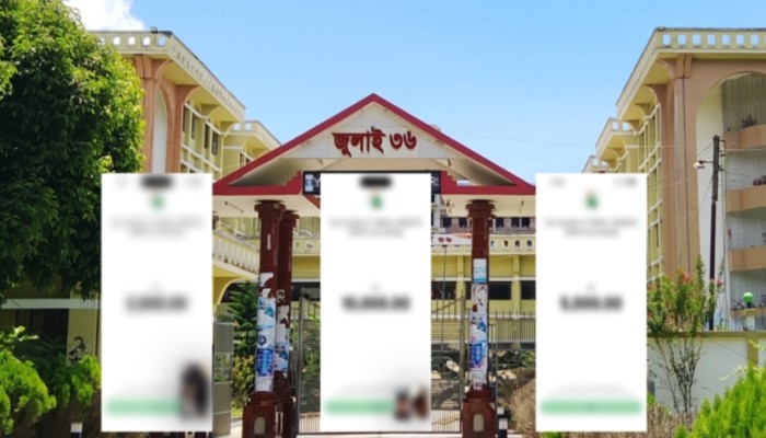 বিক্রি করে লক্ষাধিক টাকা আয়, ইবির সেই শিক্ষার্থীর বিরুদ্ধে নতুন অভিযোগছবি