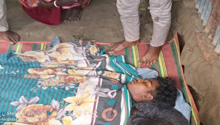 রানীসংকৈলে সাপের কামরে যুবকের মৃত্যু