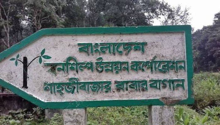 শাহজীবাজার রাবার বাগান ম্যানেজারের বিরুদ্ধে অনিয়ম দুর্নীতি অভিযোগ