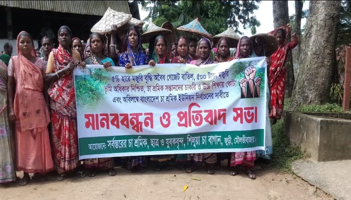 শিলুয়া চা বাগানে ৫ শতাধিক শ্রমিকের মানববন্ধন  ৫০০ টাকা মজুরি, ফ্যামিলি কার্ড ও চা শ্রমিক ইউনিয়ন নির্বাচনের দাবি