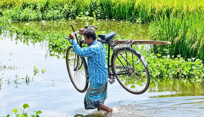 ৩ অর্থবছরেও হয়নি বরাদ্দের কালভার্ট, বাঁশের সাঁকোতেই ঝুঁকি নিয়ে পারাপার