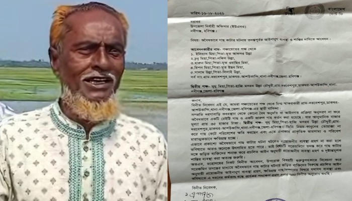 নবীগঞ্জের সরকারী ক'বরস্থানের দুটি গাছ কেটে বিক্রি।  ইউএনও এর কাছে অ'ভিযোগ দায়ের
