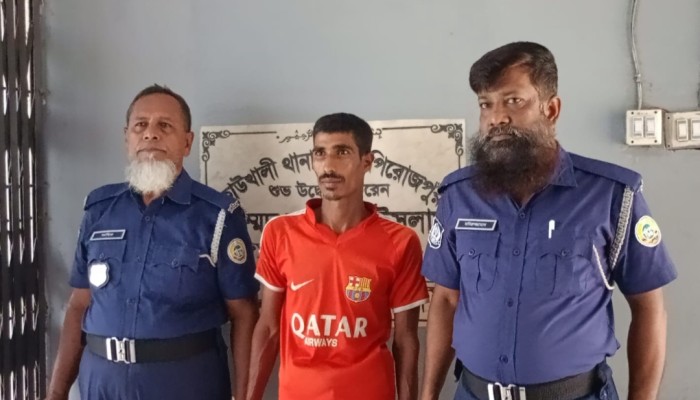 কাউখালীতে কাঠের ডাসার আ'ঘাতে মায়ের মৃ'ত্যু, ছেলে গ্রে'প্তার