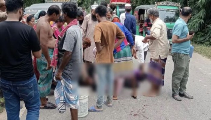 ছয় মাসের সন্তান রেখে সড়ক দুর্ঘটনায় মায়ের মর্মান্তিক মৃত্যু