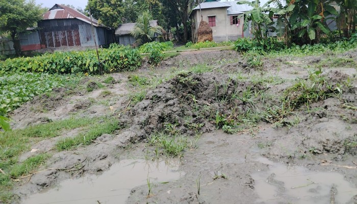 কেন্দুয়ায় রাতের আঁ'ধারে রাস্তা কা'টার অ'ভিযোগ, দু'র্ভোগে শত শত মানুষ