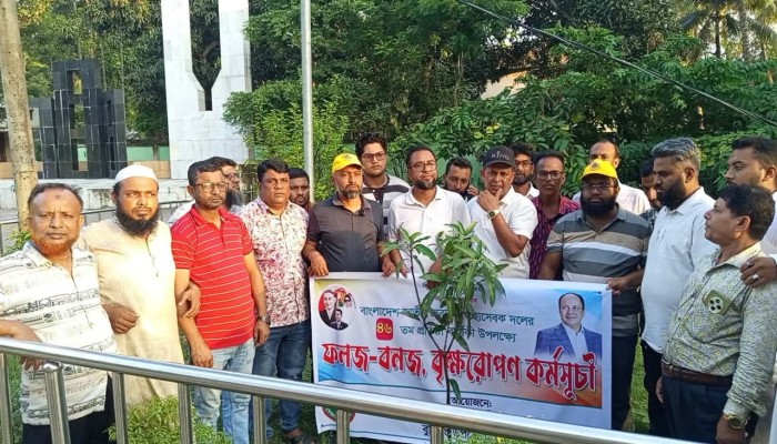 বুড়িচংয়ে স্বেচ্ছাসেবক দলের প্রতিষ্ঠাবার্ষিকীতে বৃক্ষরোপণ কর্মসূচী