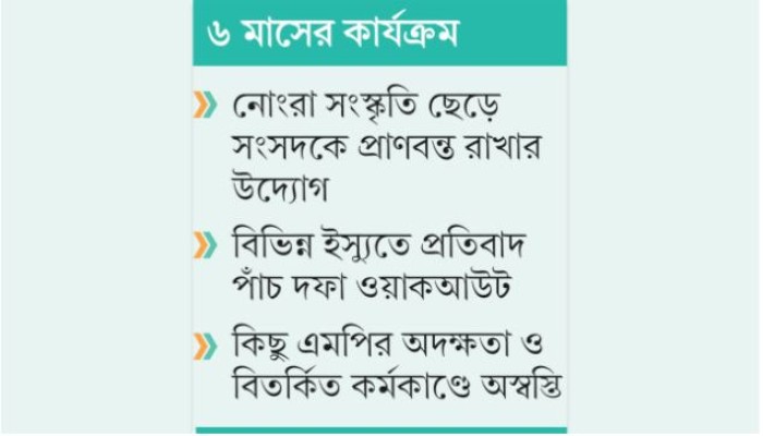 সংসদ ও রাজপথে সোচ্চার থাকার চেষ্টায় বিরোধী দল