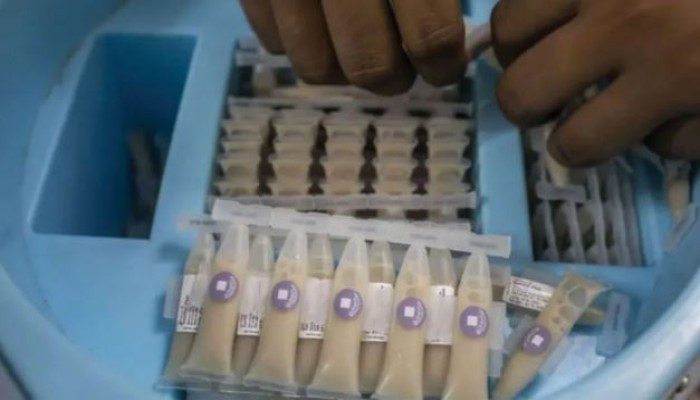 কলেরার টিকা কেন এখন, কারা পাবেন এই টিকা?