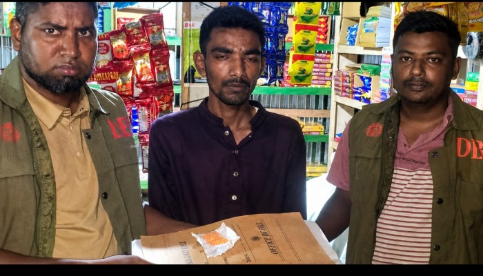 তেঁতুলিয়ায় ১০০ পিস ইয়াবাসহ মাদক ব্যবসায়ী গ্রেপ্তার