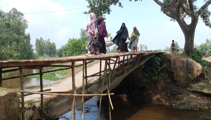 ৩ বছর ধরে ভাঙা সেতু; কাঠের সাঁকোয় ঝুঁ'কি নিয়ে ২০ হাজার মানুষের চলাচল