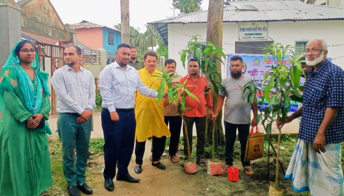 কাউখালীতে পল্লী সঞ্চয় ব্যাংকের উদ্যোগে বৃক্ষরোপণ ও চারা বিতরণ