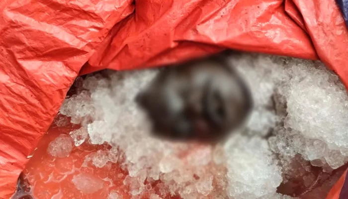 বঙ্গোপসাগরে ট্রলারডু'বি: বরগুনার নি'খোঁ'জ ৫ জেলের মধ্যে ১ জনের মরদেহ উ'দ্ধা'র