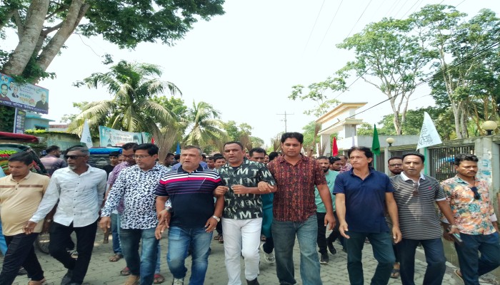 মির্জাগঞ্জে কমিটি বা'তিলের দা'বিতে যুবদলের ঝাড়ু হাতে বি'ক্ষোভ মি'ছিল