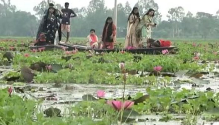 সৌন্দর্য হা'রাচ্ছে কুড়িগ্রামের ঐতিহ্যবাহী চাকিরপশার বিল