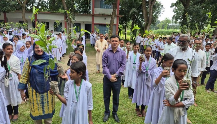 বিজয়নগরে শিক্ষার্থীদের হাতে চারা তুলে দিল তরী বাংলাদেশ