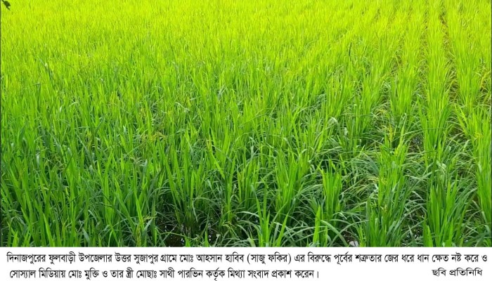 সংবাদের সাথে ছবি আছে ফুলবাড়ীতে সোস্যাল মিডিয়ায় মি'থ্যা খবর॥
