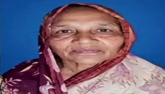 মিরপুরে নি'খোঁজের ৪ দিন পর খালে মি'লল কোমরে বালির বস্তা বাধা বৃ'দ্ধার লা'শ
