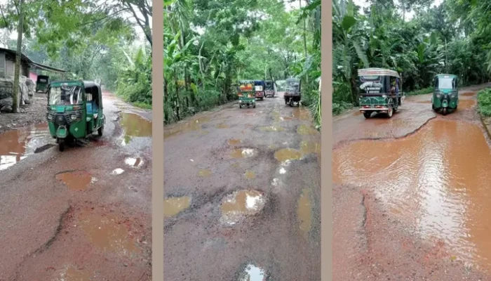 বাকেরগঞ্জ-বরগুনা সড়ক: সংস্কারকাজ বন্ধ থাকায় জন'দু'র্ভো'গ বাড়ছে